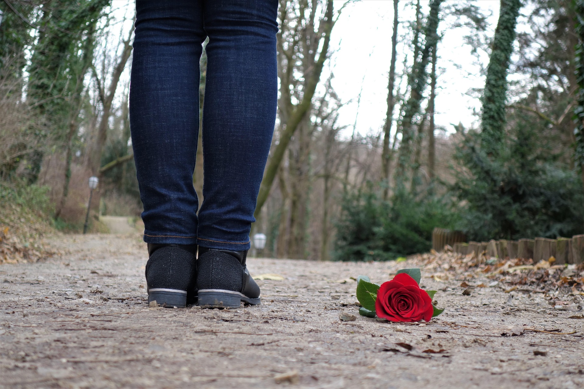 Lost your love way